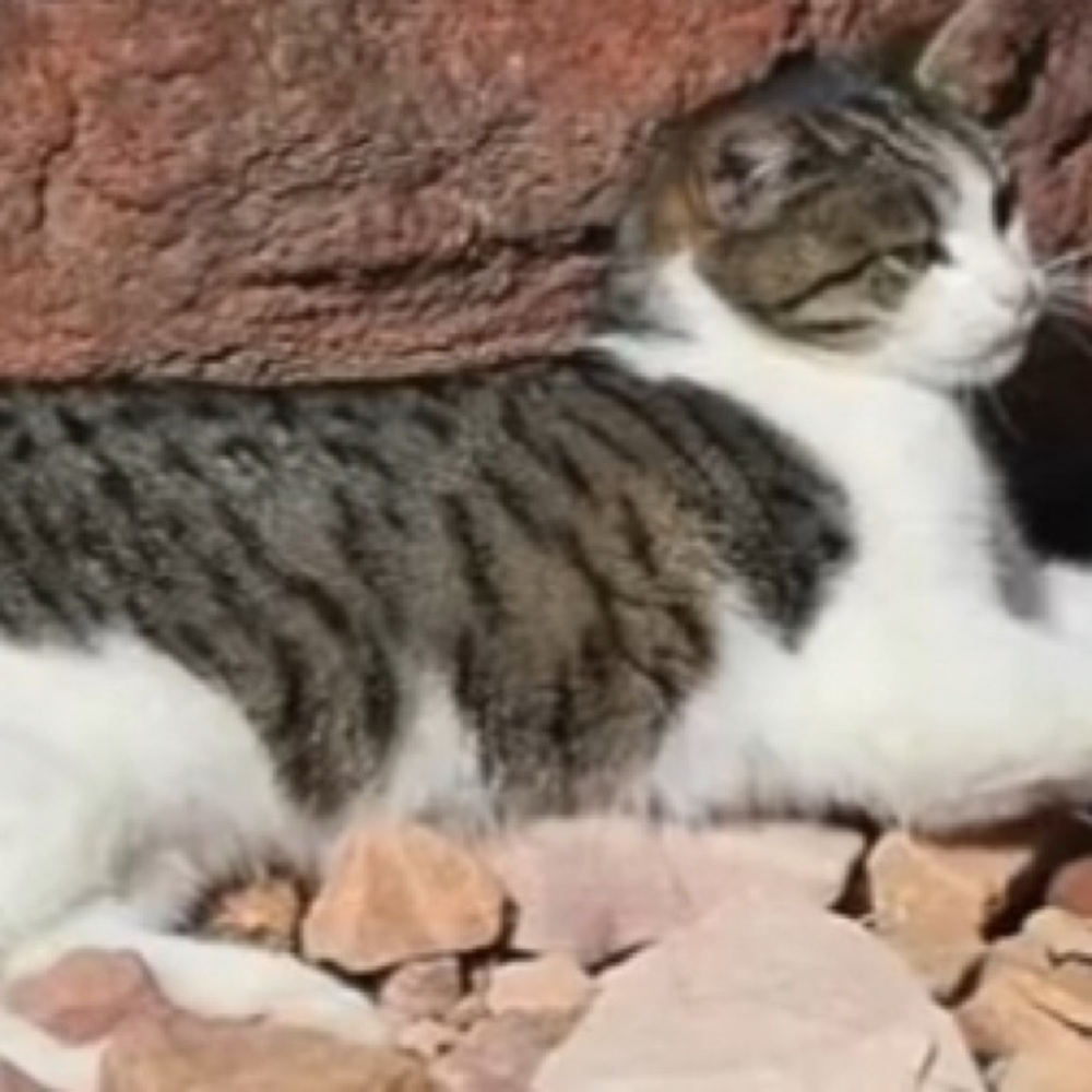 Meet your Posher, Hailey